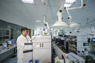 江寧生命科技小鎮(zhèn) 國家級(jí)博士后科研工作站領(lǐng)航網(wǎng)絡(luò)技術(shù)研發(fā)與服務(wù)新未來